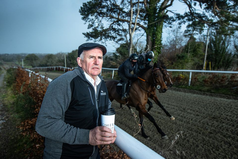 Property developer and horse trainer  Luke Comer at his yard in Co Wicklow. Photo by Mark Condren